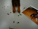 2009_12160012-2.JPG