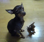 2009_12160021-2.JPG