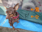2009_12270009.JPG