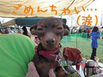 2009_12270013-2.JPG