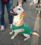 2009_12270027-2.JPG