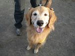 2009_12270032-2.JPG
