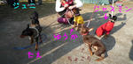 2009_12270015-2.JPG
