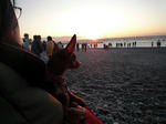 2010_01010020-2.jpg