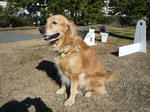 2010_01070003-2.JPG