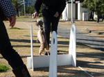 2010_01070009-2.JPG