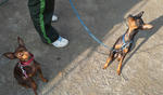 2009_12270019-2.JPG