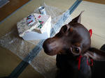 2010_01110004-2.jpg