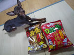 2010_01210010-2.jpg