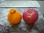 2010_01210019-2.jpg