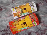 2010_01290012-2.JPG