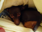 2010_02080017-2.jpg