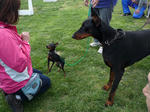 2010_04100007-2.JPG