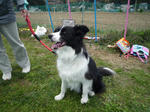 2010_04100012-2.jpg