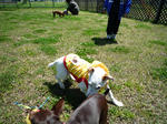 2010_04170005-2.jpg