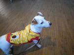 2010_04170008-2.jpg