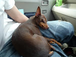 2010_05030015-2.jpg