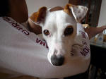 2010_05080003-2.jpg