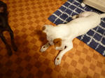 2010_05140004-2.jpg