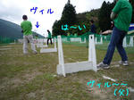 2010_05300008-2.JPG
