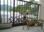 2010_07210001-2.jpg