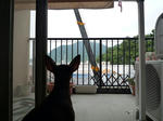 2010_07210002-2.jpg