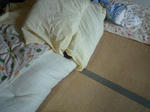 2010_08120005-2.jpg