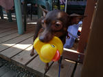 2010_09040576-2.jpg