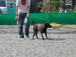 2010_10020577-2.JPG
