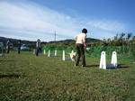 2010_10030476-2.jpg