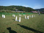 2010_10030473-2.jpg