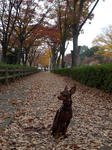 2010_11140048-2.jpg