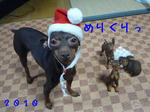 2010_12250003-2.JPG