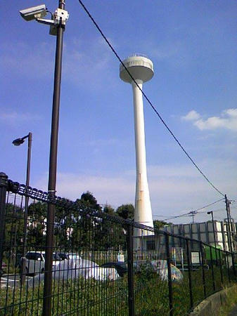 summer_2008_2.jpg