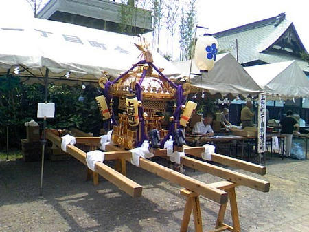 summer_2008_3.jpg