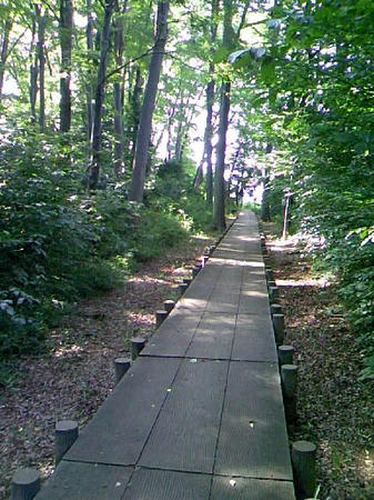 summer_2008_4.jpg