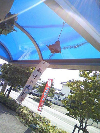 summer_2008_5.jpg