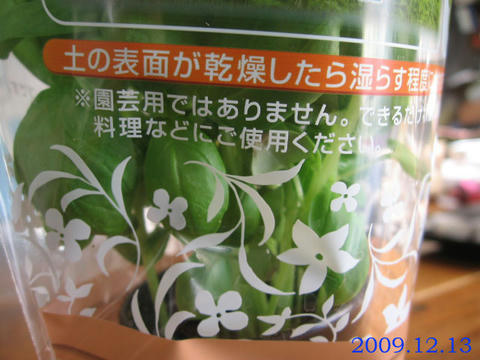 園芸用ではありません