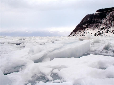 流氷を間近で
