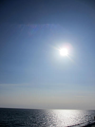羅臼の海