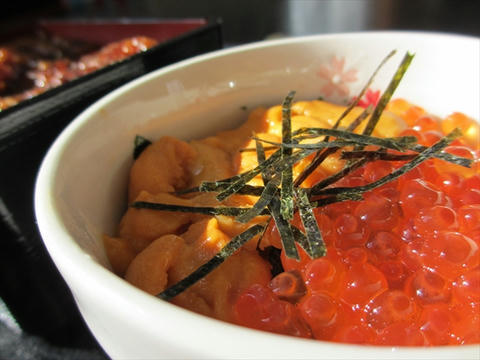 ウニ・いくら丼