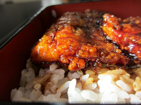 黒ハモ丼