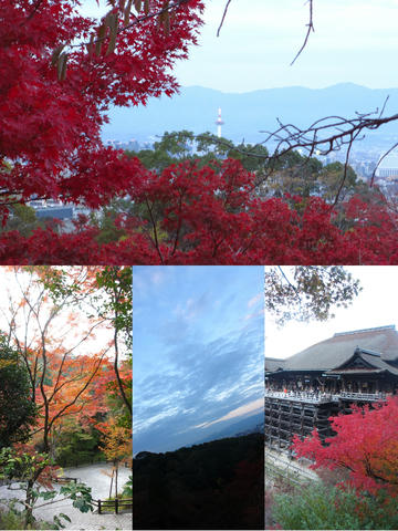 清水寺 早朝拝観