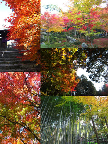 曼殊院道、圓光寺