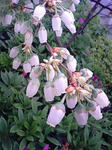 090508_1339~0001.jpg
