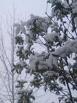 101225_0701~0001.jpg