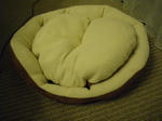 a55d9c0f.JPG