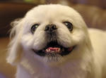 IMGP0322.JPG