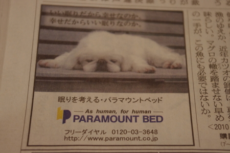 パラマウントベッドの広告のペキニーズ