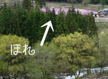 100429.JPG
